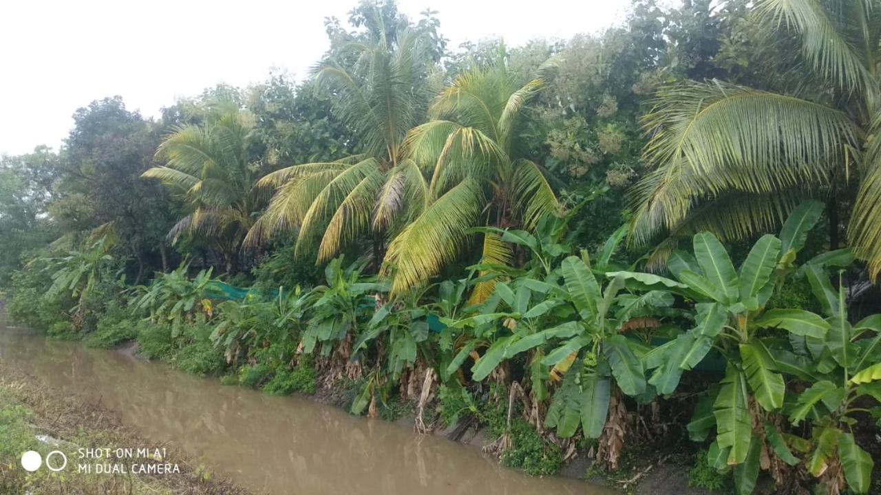 Om Shanti Om Homestay Hampi Eksteriør billede